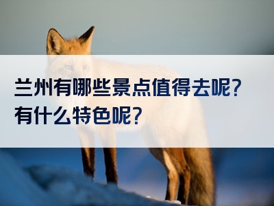 兰州有哪些景点值得去呢？有什么特色呢？