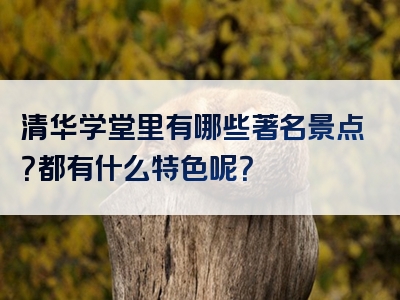 清华学堂里有哪些著名景点？都有什么特色呢？