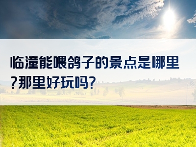临潼能喂鸽子的景点是哪里？那里好玩吗？