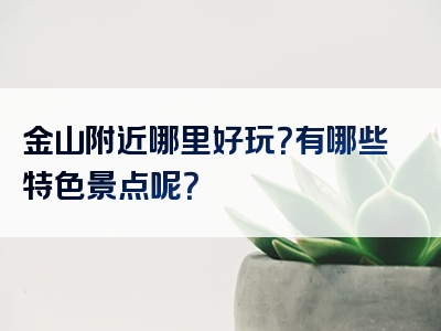 金山附近哪里好玩？有哪些特色景点呢？