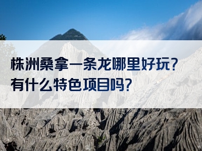 株洲桑拿一条龙哪里好玩？有什么特色项目吗？