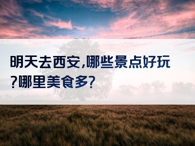 明天去西安，哪些景点好玩？哪里美食多？
