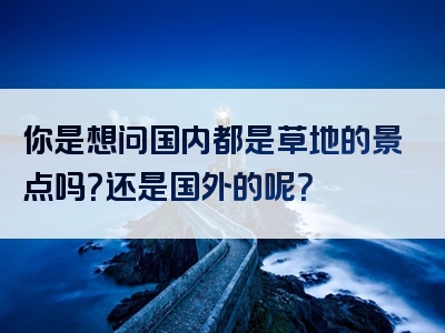 你是想问国内都是草地的景点吗？还是国外的呢？