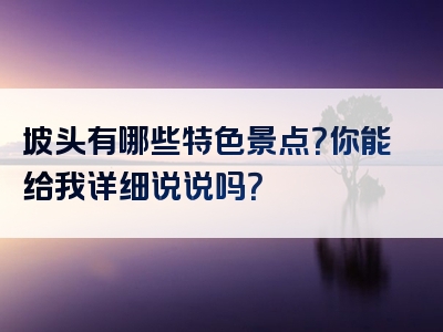 坡头有哪些特色景点？你能给我详细说说吗？