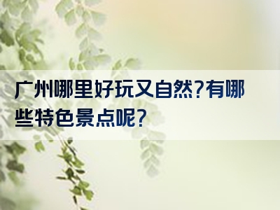 广州哪里好玩又自然？有哪些特色景点呢？