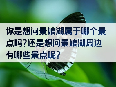 你是想问景娘湖属于哪个景点吗？还是想问景娘湖周边有哪些景点呢？