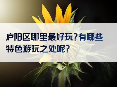 庐阳区哪里最好玩？有哪些特色游玩之处呢？