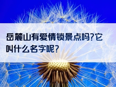 岳麓山有爱情锁景点吗？它叫什么名字呢？