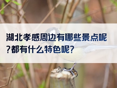 湖北孝感周边有哪些景点呢？都有什么特色呢？