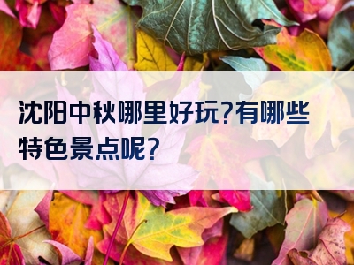 沈阳中秋哪里好玩？有哪些特色景点呢？