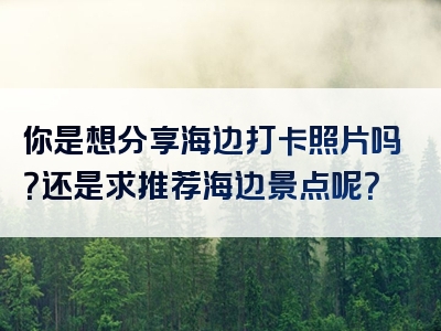你是想分享海边打卡照片吗？还是求推荐海边景点呢？