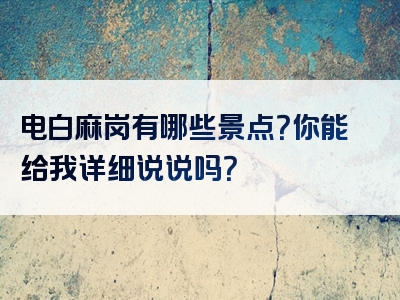 电白麻岗有哪些景点？你能给我详细说说吗？