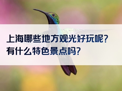 上海哪些地方观光好玩呢？有什么特色景点吗？