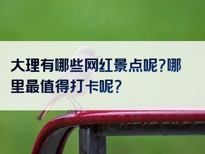 大理有哪些网红景点呢？哪里最值得打卡呢？