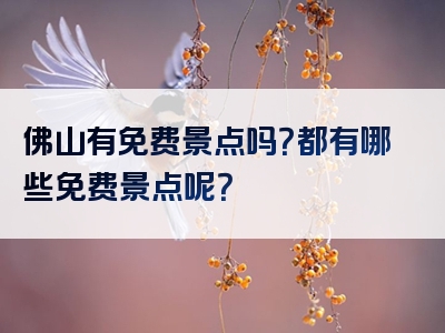 佛山有免费景点吗？都有哪些免费景点呢？