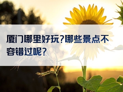 厦门哪里好玩？哪些景点不容错过呢？