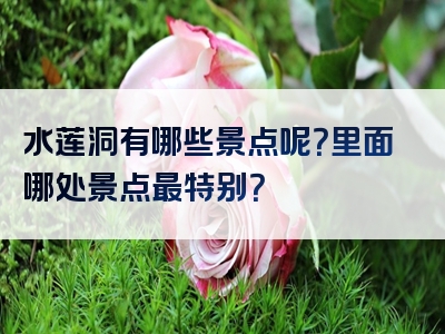 水莲洞有哪些景点呢？里面哪处景点最特别？
