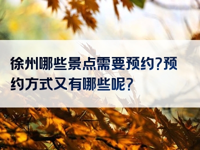 徐州哪些景点需要预约？预约方式又有哪些呢？