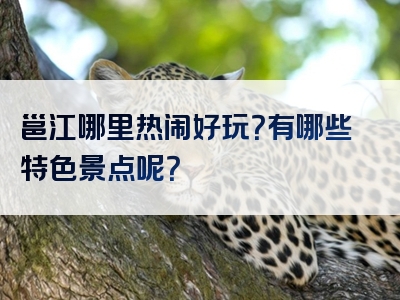 邕江哪里热闹好玩？有哪些特色景点呢？