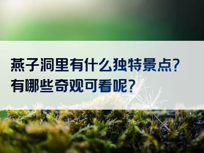 燕子洞里有什么独特景点？有哪些奇观可看呢？