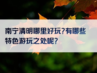 南宁清明哪里好玩？有哪些特色游玩之处呢？