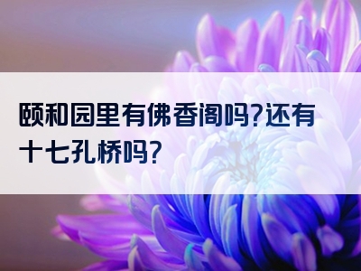 颐和园里有佛香阁吗？还有十七孔桥吗？