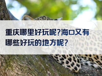 重庆哪里好玩呢？海口又有哪些好玩的地方呢？