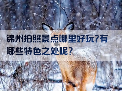 锦州拍照景点哪里好玩？有哪些特色之处呢？