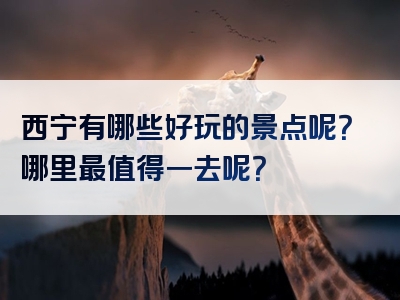 西宁有哪些好玩的景点呢？哪里最值得一去呢？