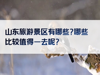 山东旅游景区有哪些？哪些比较值得一去呢？