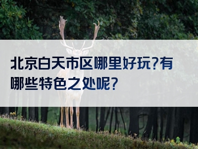 北京白天市区哪里好玩？有哪些特色之处呢？