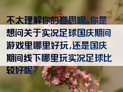 不太理解你的意思呢。你是想问关于实况足球国庆期间游戏里哪里好玩，还是国庆期间线下哪里玩实况足球比较好呢？