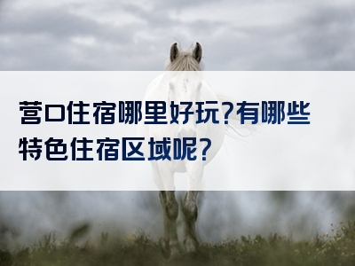 营口住宿哪里好玩？有哪些特色住宿区域呢？