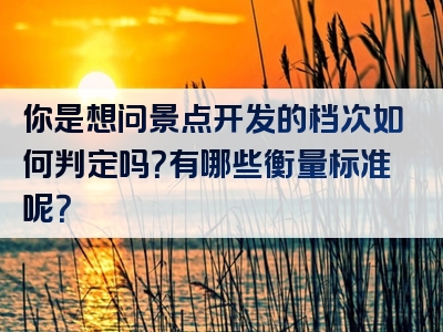 你是想问景点开发的档次如何判定吗？有哪些衡量标准呢？