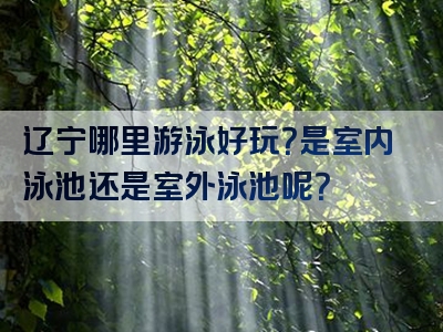 辽宁哪里游泳好玩？是室内泳池还是室外泳池呢？