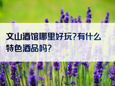 文山酒馆哪里好玩？有什么特色酒品吗？