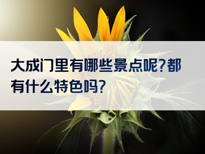 大成门里有哪些景点呢？都有什么特色吗？