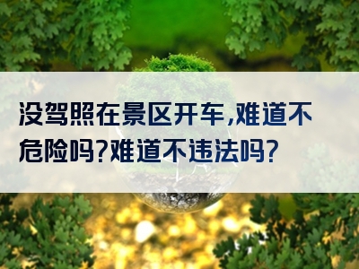 没驾照在景区开车，难道不危险吗？难道不违法吗？