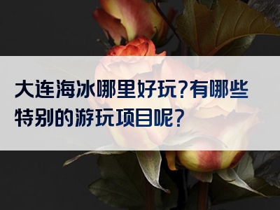 大连海冰哪里好玩？有哪些特别的游玩项目呢？