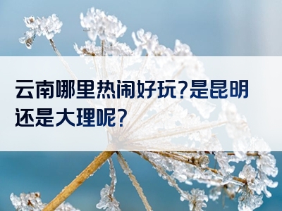 云南哪里热闹好玩？是昆明还是大理呢？