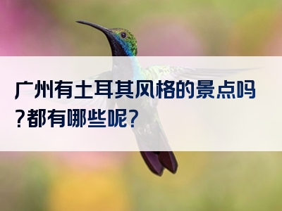 广州有土耳其风格的景点吗？都有哪些呢？