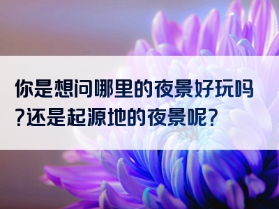 你是想问哪里的夜景好玩吗？还是起源地的夜景呢？