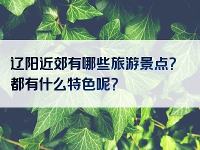 辽阳近郊有哪些旅游景点？都有什么特色呢？