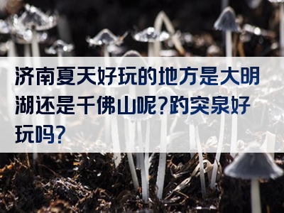 济南夏天好玩的地方是大明湖还是千佛山呢？趵突泉好玩吗？