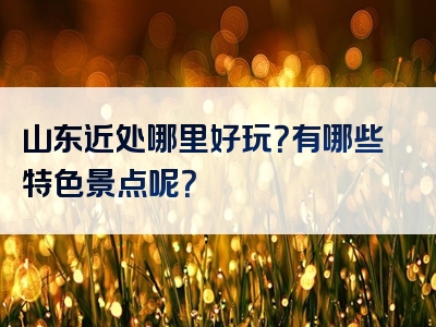 山东近处哪里好玩？有哪些特色景点呢？