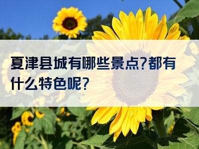 夏津县城有哪些景点？都有什么特色呢？