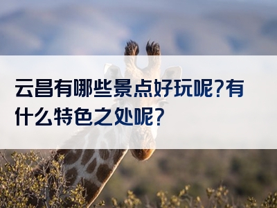 云昌有哪些景点好玩呢？有什么特色之处呢？