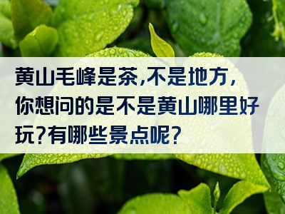 黄山毛峰是茶，不是地方，你想问的是不是黄山哪里好玩？有哪些景点呢？