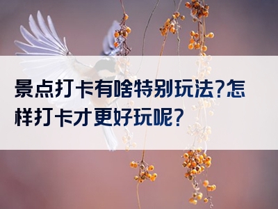 景点打卡有啥特别玩法？怎样打卡才更好玩呢？
