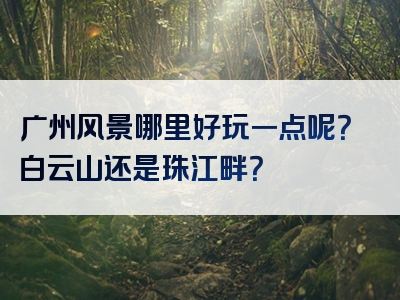 广州风景哪里好玩一点呢？白云山还是珠江畔？